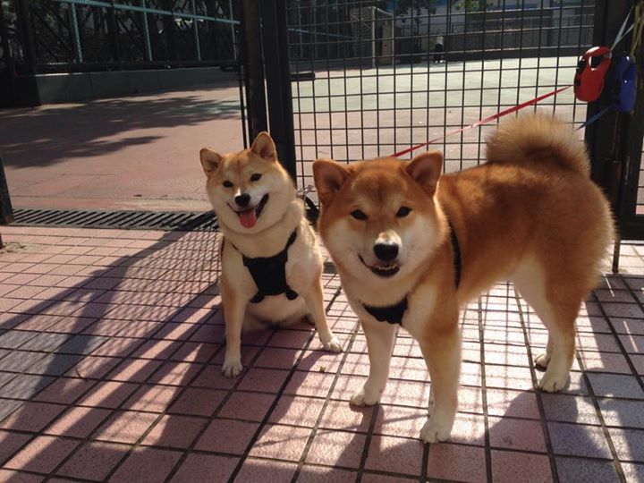 全国青少年体能挑战赛覆盖更多城市，青少年体能比赛