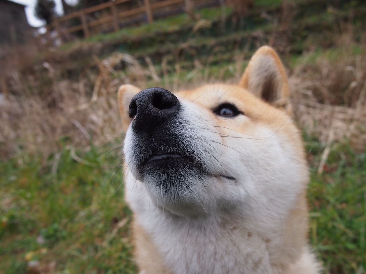 国家队选拔机制需提高透明度，国家队选手是怎么选拔的