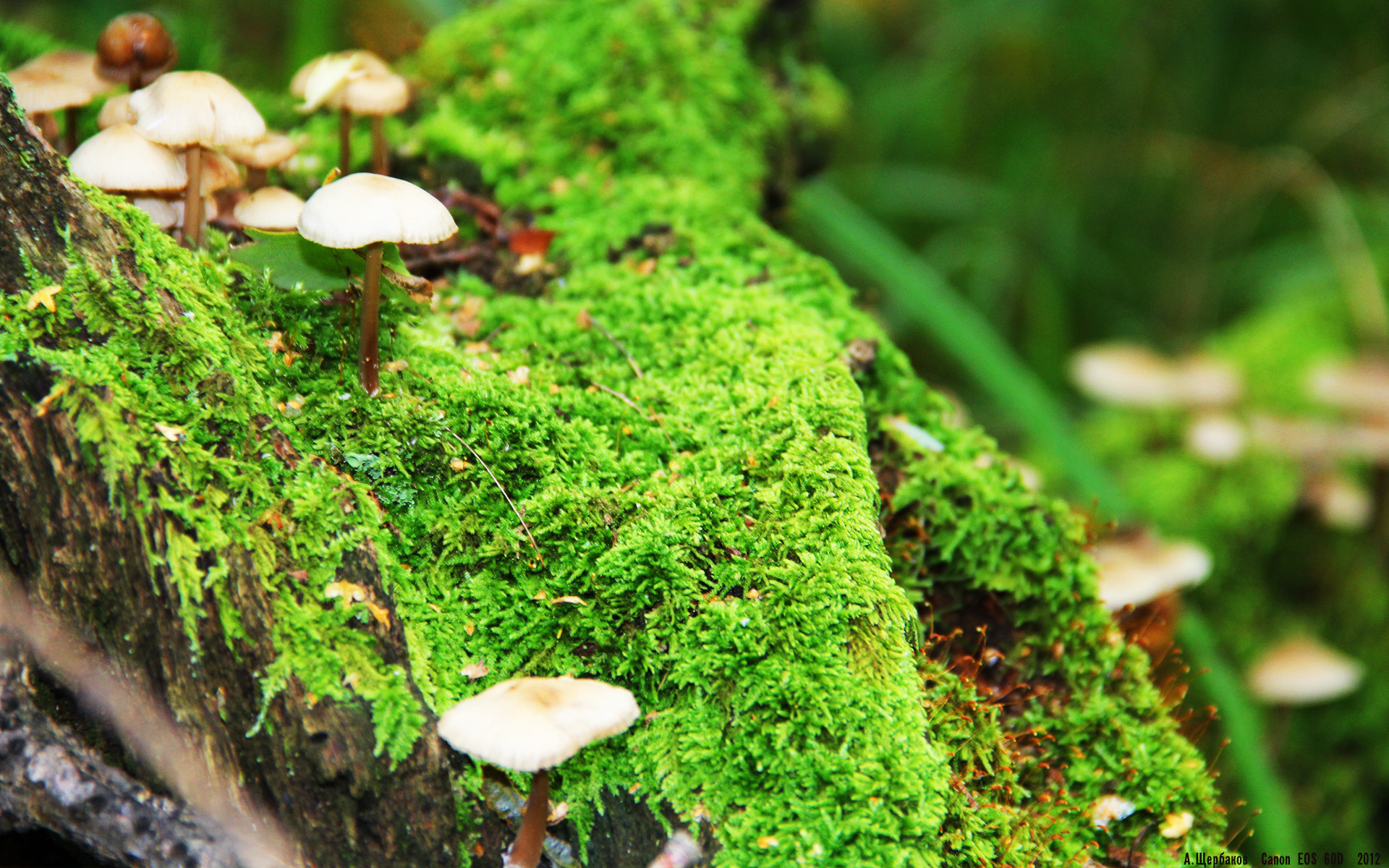 国家队选拔机制需提高透明度，国家队选手是怎么选拔的