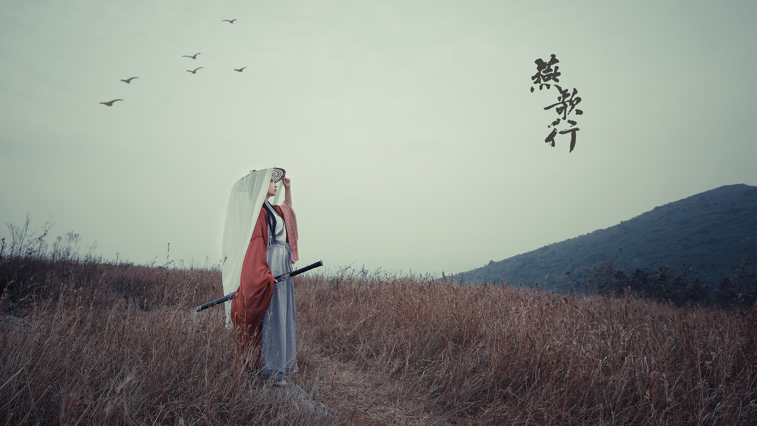 图卢兹围绕速度展开战术布置，图卢兹怎么样