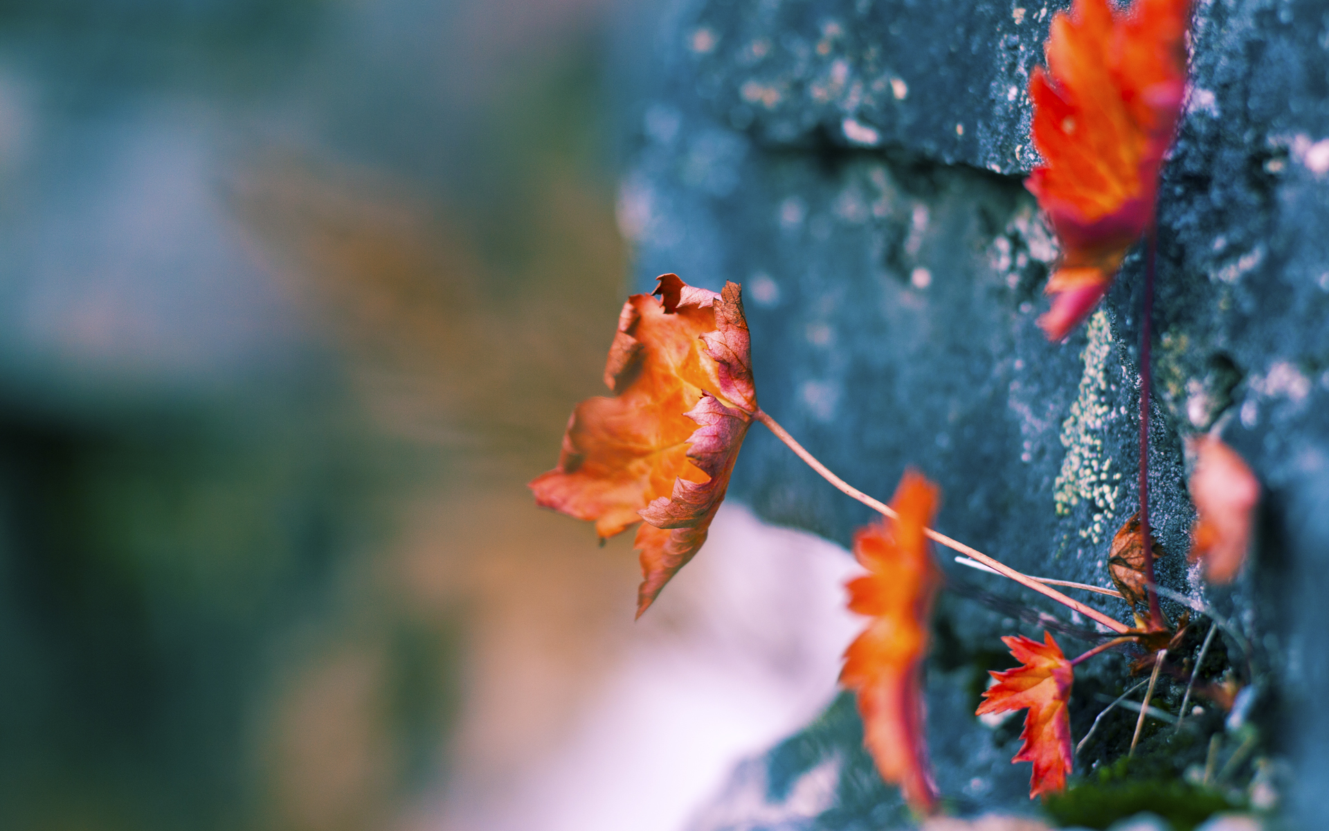 慢节奏阵容是否更依赖定位球和低位进攻，慢节奏类型的是
