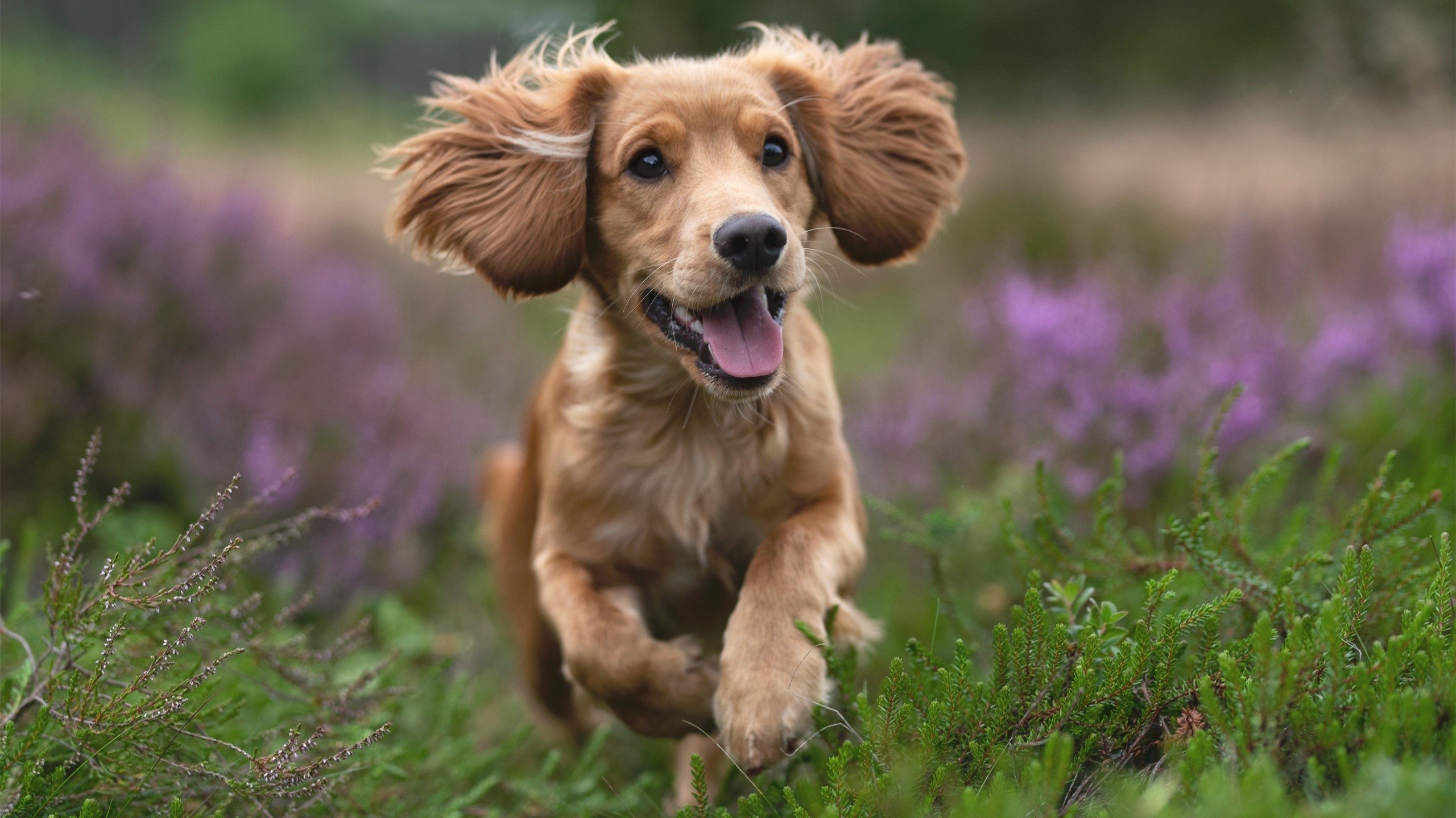 青少年乒乓球人才培养计划启动新一批梯队建设，青少年乒乓球选拔赛