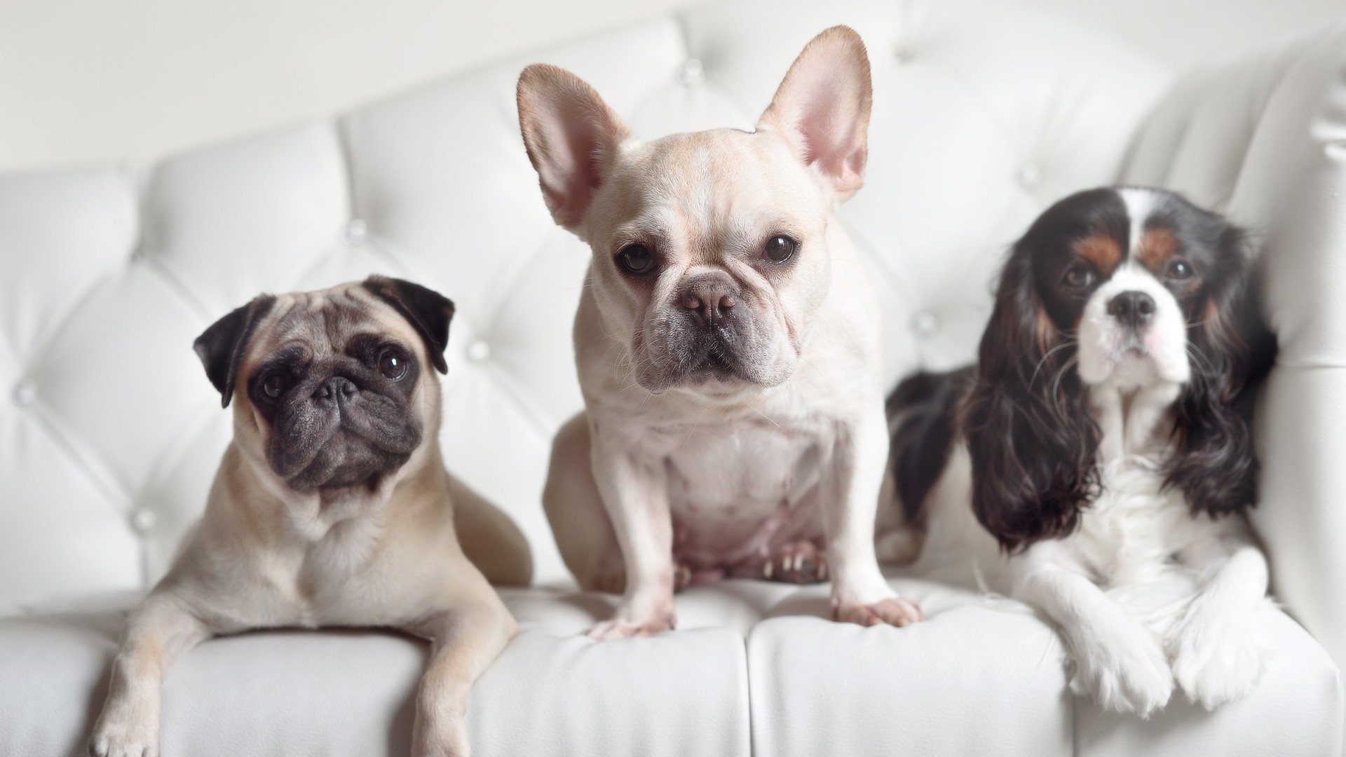 世界杯现场高潮不断：奇迹瞬间点燃全场热情，世界杯超燃视频