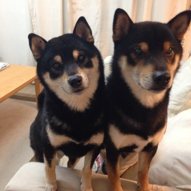 中乙球队关注度提高赞助商数量逐年递增,中乙球衣赞助商