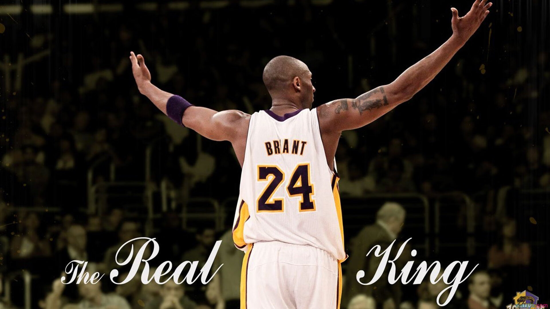 “胡利安·门德斯的进攻与防守双重威胁，助力美洲狮队实现突破”