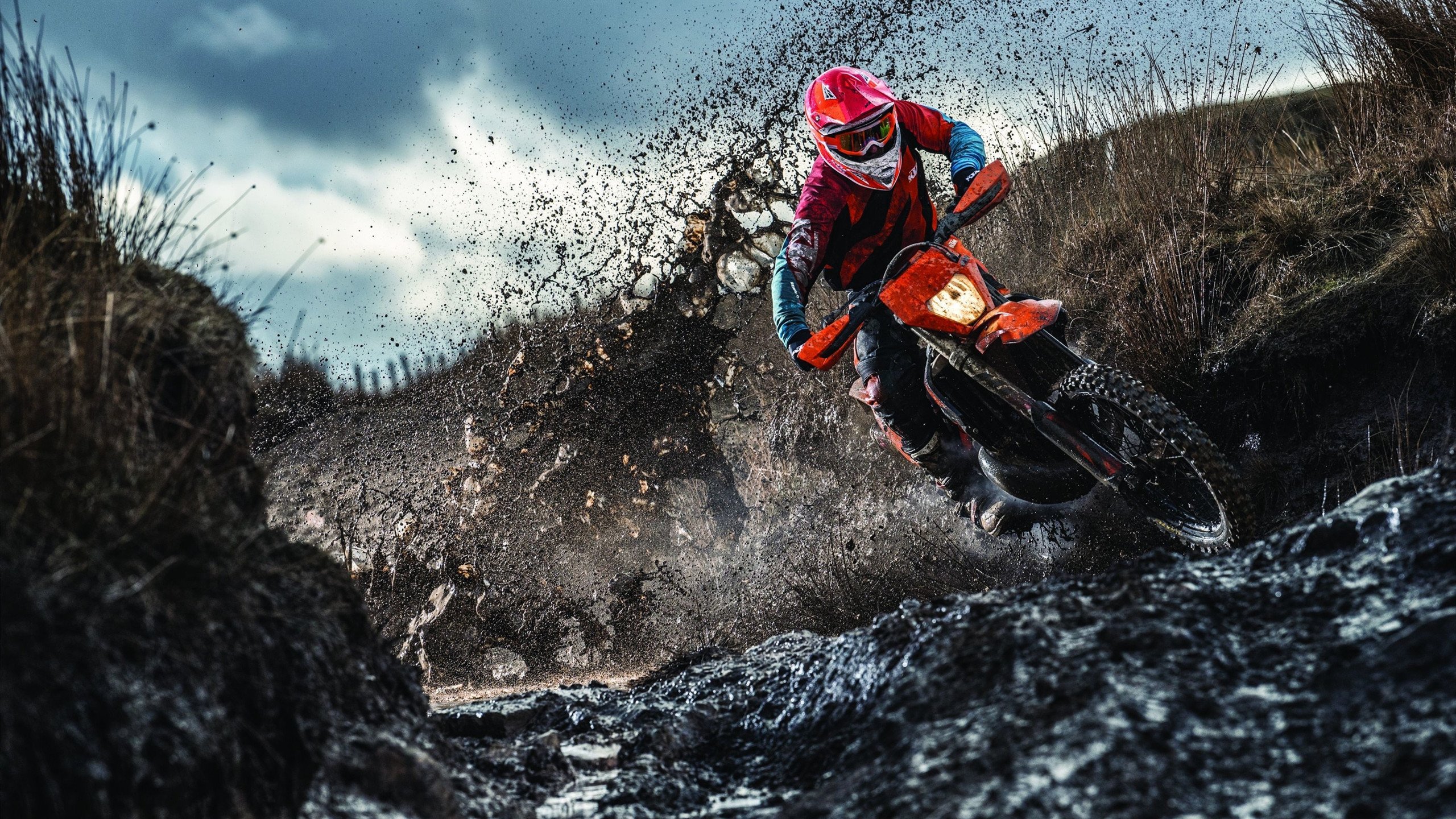 女子4×200米自由泳接力美国队展现团队精神，女子4×100米自由泳接力决赛